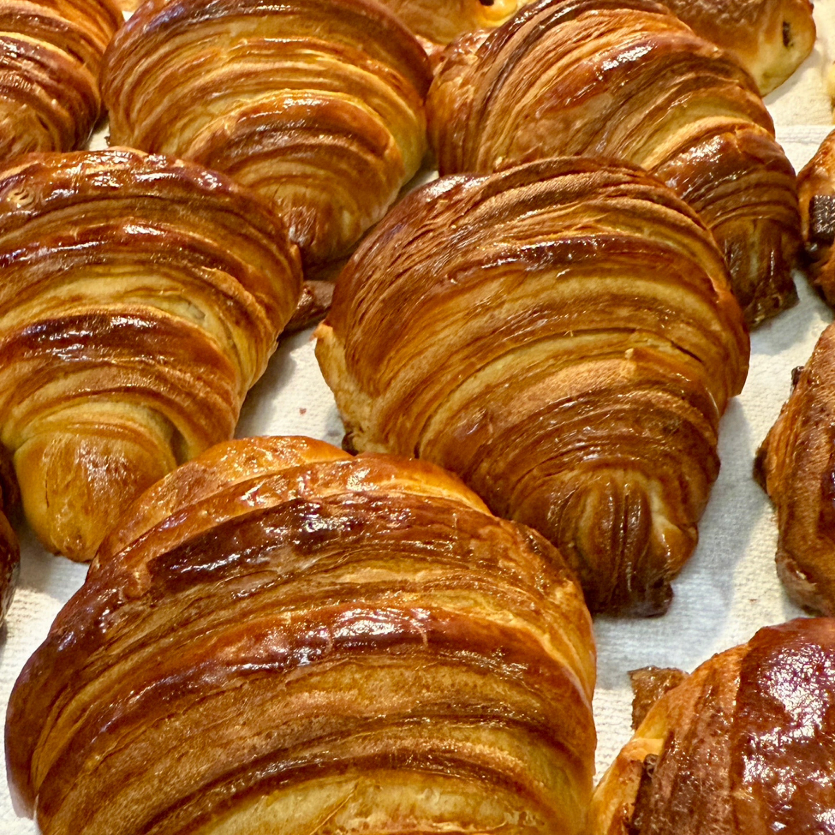 Classic Butter Croissants Box